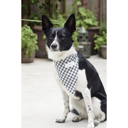 Burda patroon nr: 5702 - Afbeelding 7
